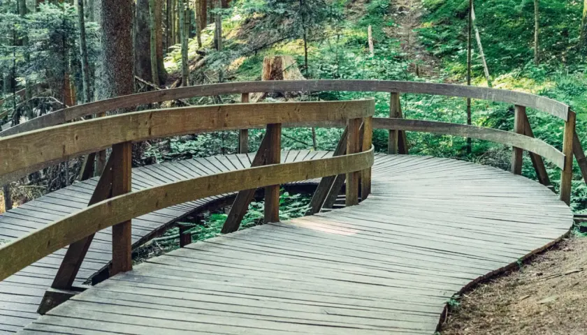 Ein geschwungener Holzsteg führt durch einen Wald. Ein naturatum erlebniswaldpfad lädt zum Entdecken ein.