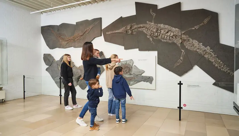 Familie bestaunt Fossilien im Holzmaden Dinopark. Ein riesiges Ichthyosaurier-Skelett hängt an der Wand.