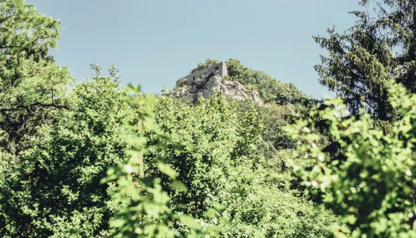Ruine Rosenstein thront auf einem Felsen, umgeben von üppigem Grün und einem klaren Himmel.