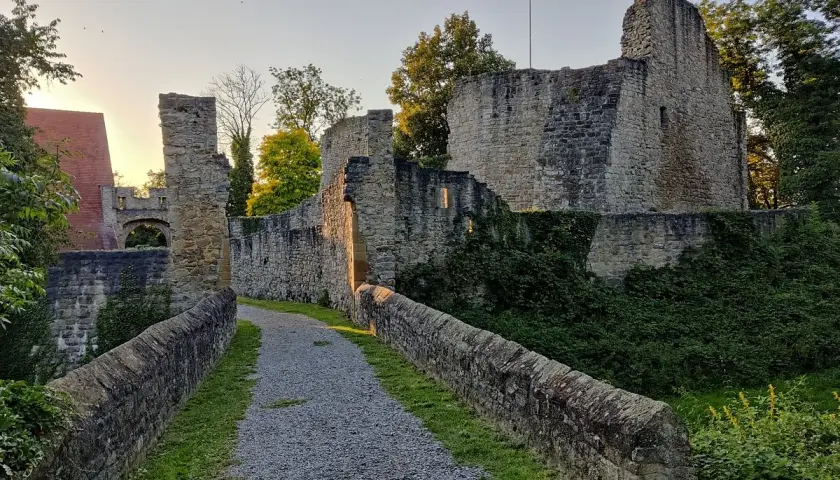 Ein Weg führt zur Burgruine Nippenburg. Steine und Grünpflanzen umgeben die alten Mauern im Abendlicht.