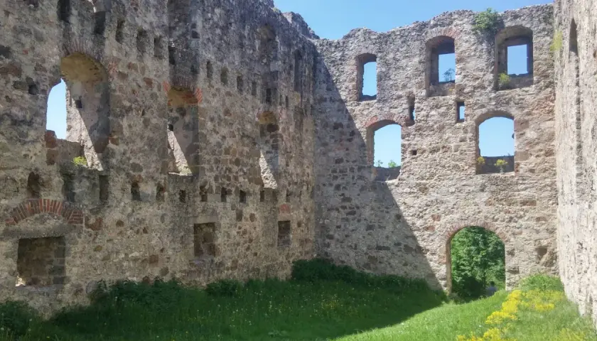 Die Burgruine Niederhaus mit ihren steinernen Mauern und leeren Fensterbögen, umgeben von grünem Gras und gelben Blumen.