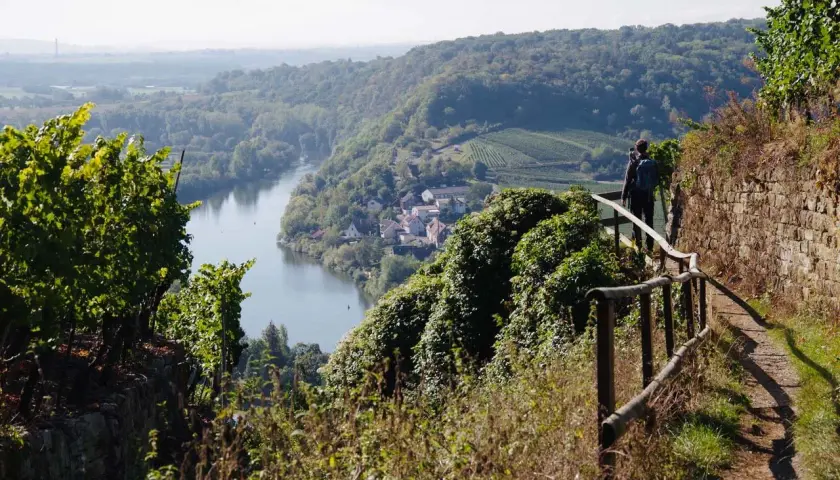 Wanderer auf einem Pfad mit Geländer, Blick auf ein Dorf am Fluss und Weinberge. Ein toller Aussichtspunkt Ludwigsburg.