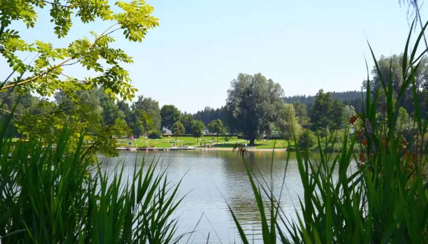 Grünes Schilf am Ufer eines Sees, im Hintergrund eine Liegewiese mit Badegästen und Bäumen. Perfekt für eine Auszeit beim Wandern in Leutkirch.