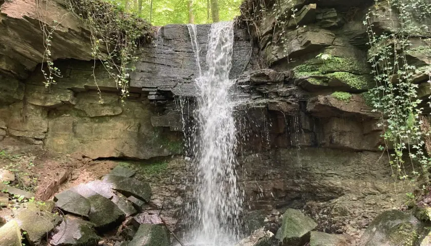 Ein kleiner Wasserfall stürzt über moosbewachsene Felsen in einem verwunschenen Wald. Ranken und grünes Laub umgeben die Szenerie.