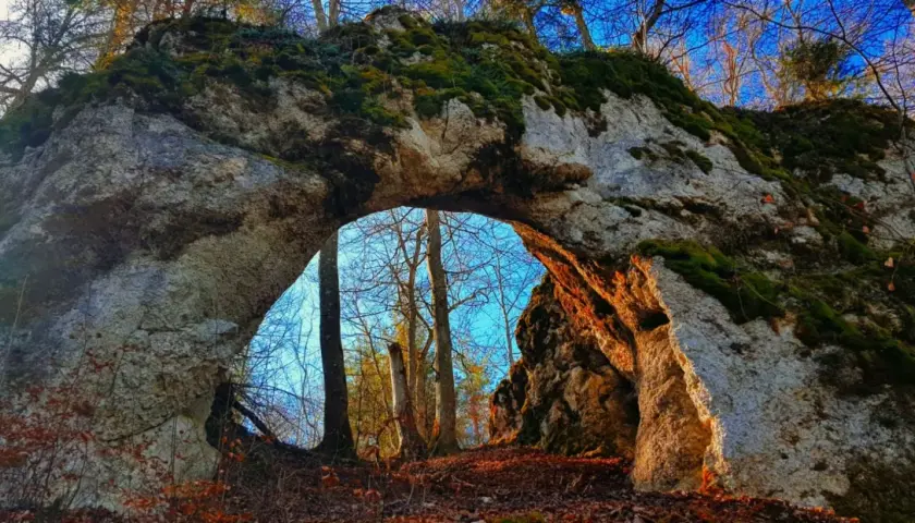 Das Heidentor bei Egesheim, ein Felsentor im Wald, mit Moos bewachsen und von Sonnenlicht durchflutet.