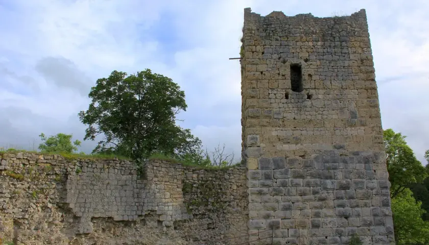 Die Ruine Kallenberg zeigt einen imposanten Turm und Mauerreste aus Stein, umgeben von Grün und einem bewölkten Himmel.