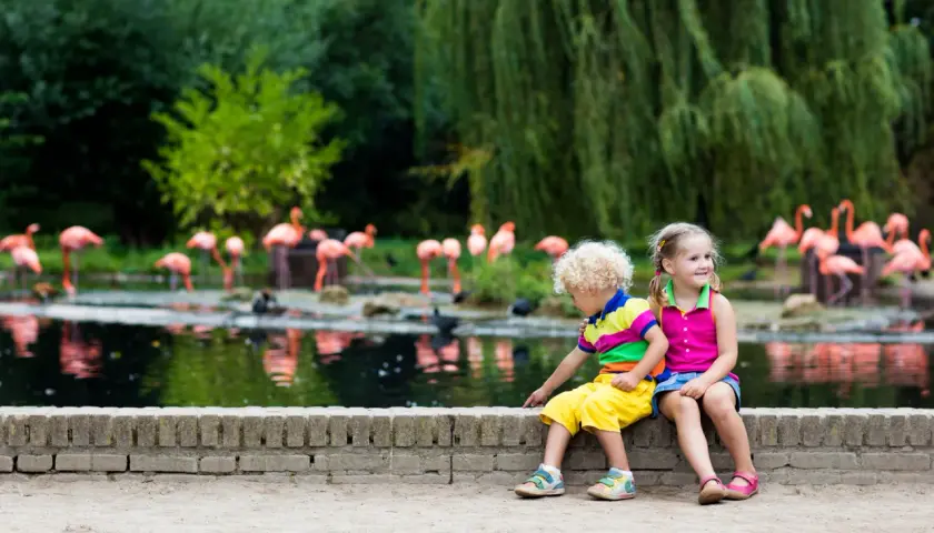Zwei Kinder genießen einen Tagesausflug nach Sachsen-Anhalt mit Kindern und beobachten Flamingos am Wasser.