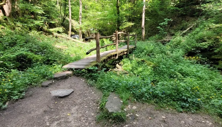 Holzbrücke über einen Bach im Wald, ein Pfad führt dorthin. Hier könnten die Feenspuren Welzheim beginnen.