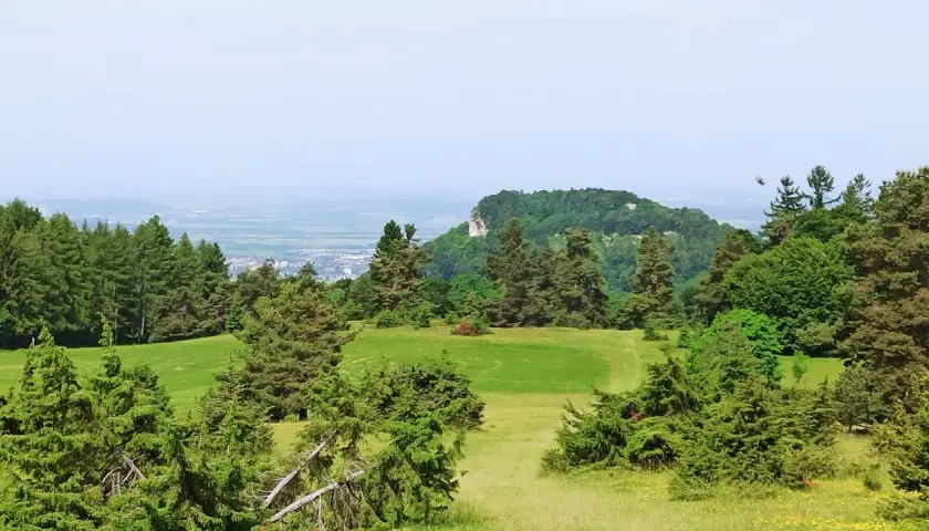 Grüne Wiesen und Nadelbäume umgeben ein Felsenmeer bei Albstadt. Im Hintergrund erstreckt sich eine Stadt unter einem blauen Himmel.