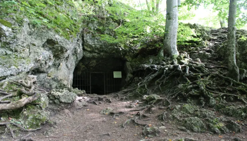 Ein finsteres Loch, eine Höhle mit Gittertor, umgeben von moosbewachsenen Felsen und verschlungenen Baumwurzeln im Wald.