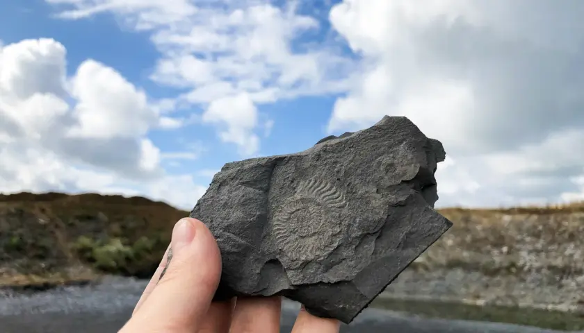 Ein Fossil, gefunden im Schiefersteinbruch Kromer, wird gegen einen dramatischen Himmel gehalten.