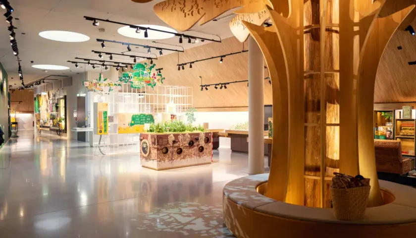 Ein interaktiver Ausstellungsbereich, der an eine Rapunzel-Welt erinnert, mit einem großen Holzbaum in der Mitte, Sitzgelegenheiten und informativen Tafeln.