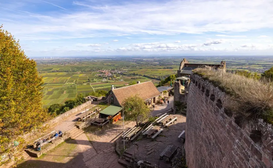 Madenburg – Mehr als eine Ruine: Dein Guide für die Südpfalz
