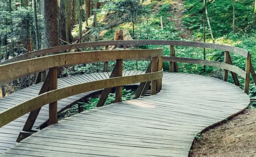 Naturatum Erlebniswaldpfad - Familienfreundlich & kinderwagentauglich