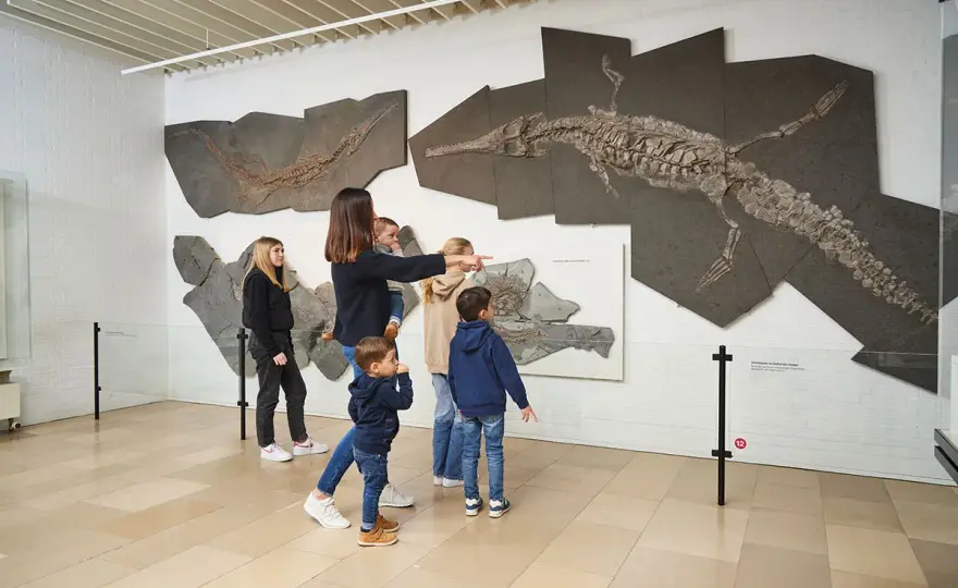 Dinopark Holzmaden - Dein Familienausflug ins Jurameer!