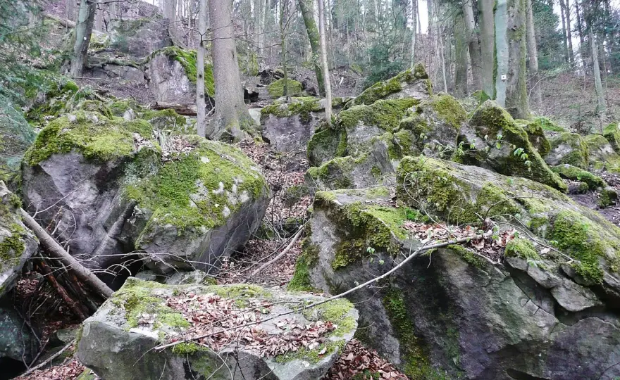 Felsenmeer Murrhardt: Lohnt sich die Wanderung wirklich?