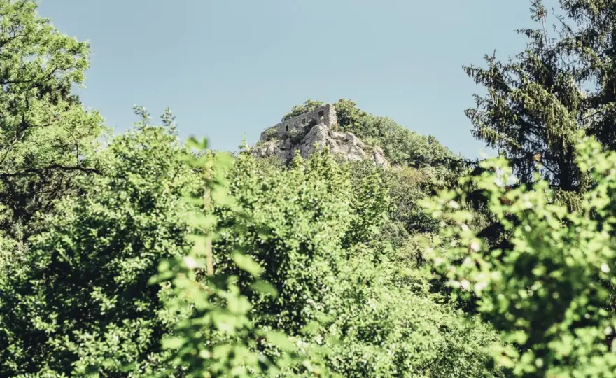 Burgruine Rosenstein - Mehr als nur eine Ruine?