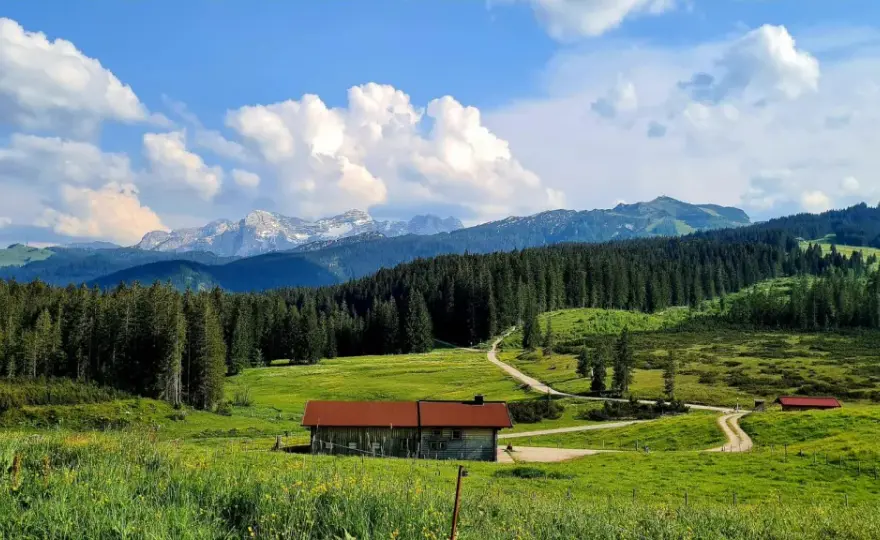 Winklmoosalm: Dein Guide für Wandern & Radfahren – alle Touren!