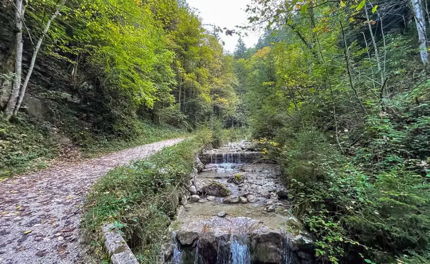 Feldlahnalm Wanderung - Dein Familienausflug in Oberwössen