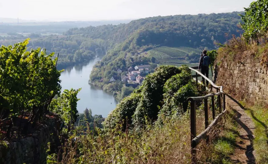 Ludwigsburg Aussichtspunkte - Die besten Panoramen & Routen