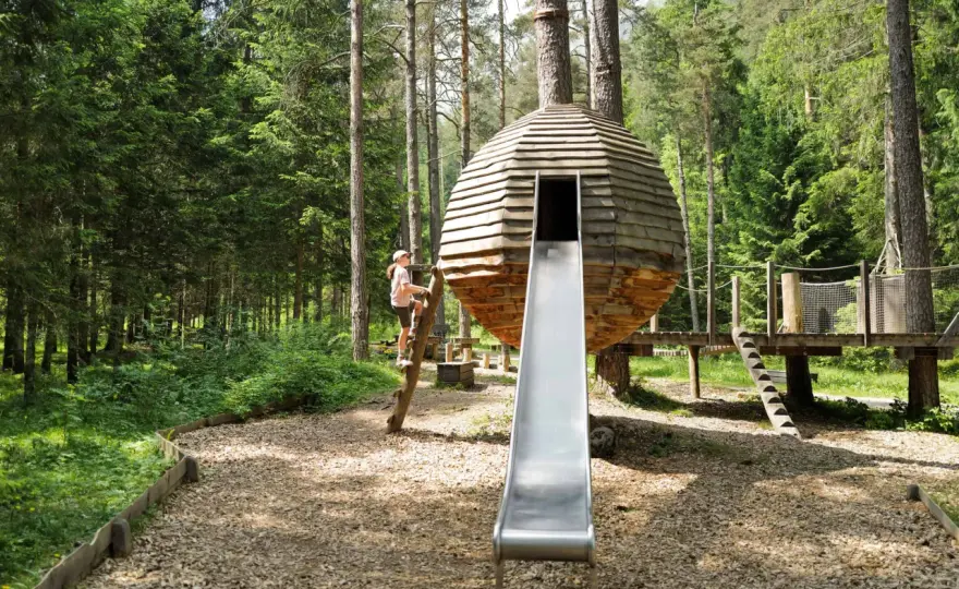 Kletterspielplatz für Familien: So wird der Ausflug zum Hit!