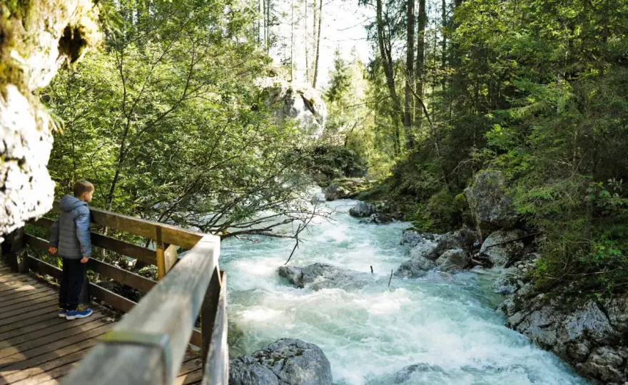 Zauberwald Hintersee - Dein perfekter Ausflug am Berchtesgaden