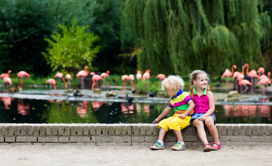 Tagesausflug Sachsen-Anhalt mit Kindern – So wird er perfekt