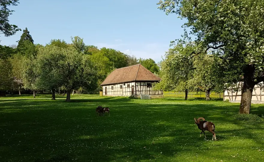 Favoritepark Ludwigsburg - Dein Familienausflug ohne Zoo-Stress
