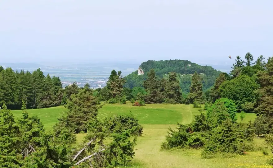 Felsenmeer Burgfelden - Dein Guide für Wanderung & Familienausflug