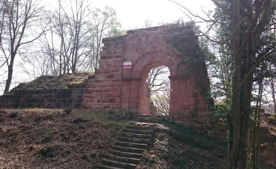 Burg Schlosseck - Ruine verstehen & richtig besuchen