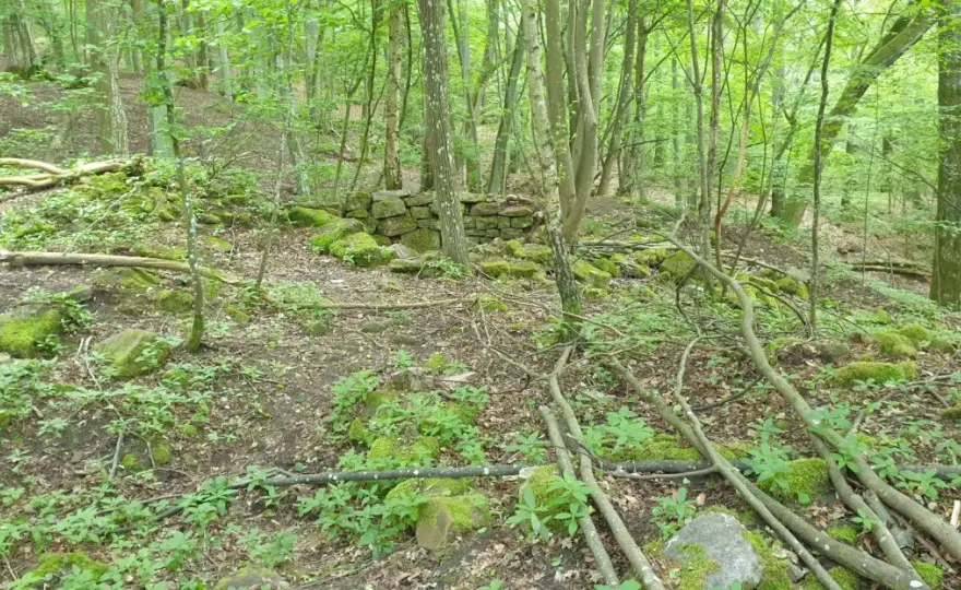Burg Steinach Bad Bocklet - Lohnt sich der Besuch der Ruine?