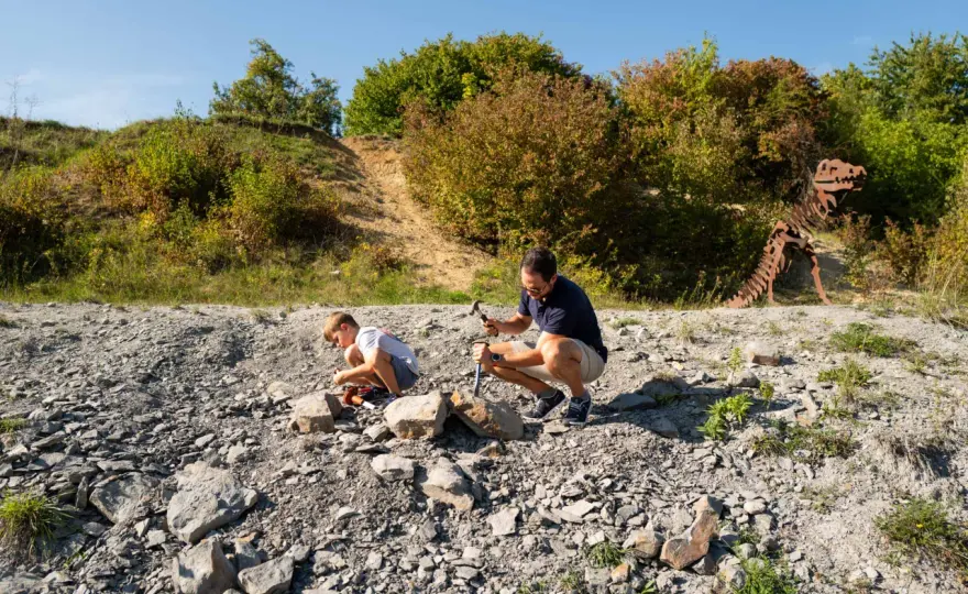 Fossilien ausgraben mit Kindern - Die besten Orte in Deutschland