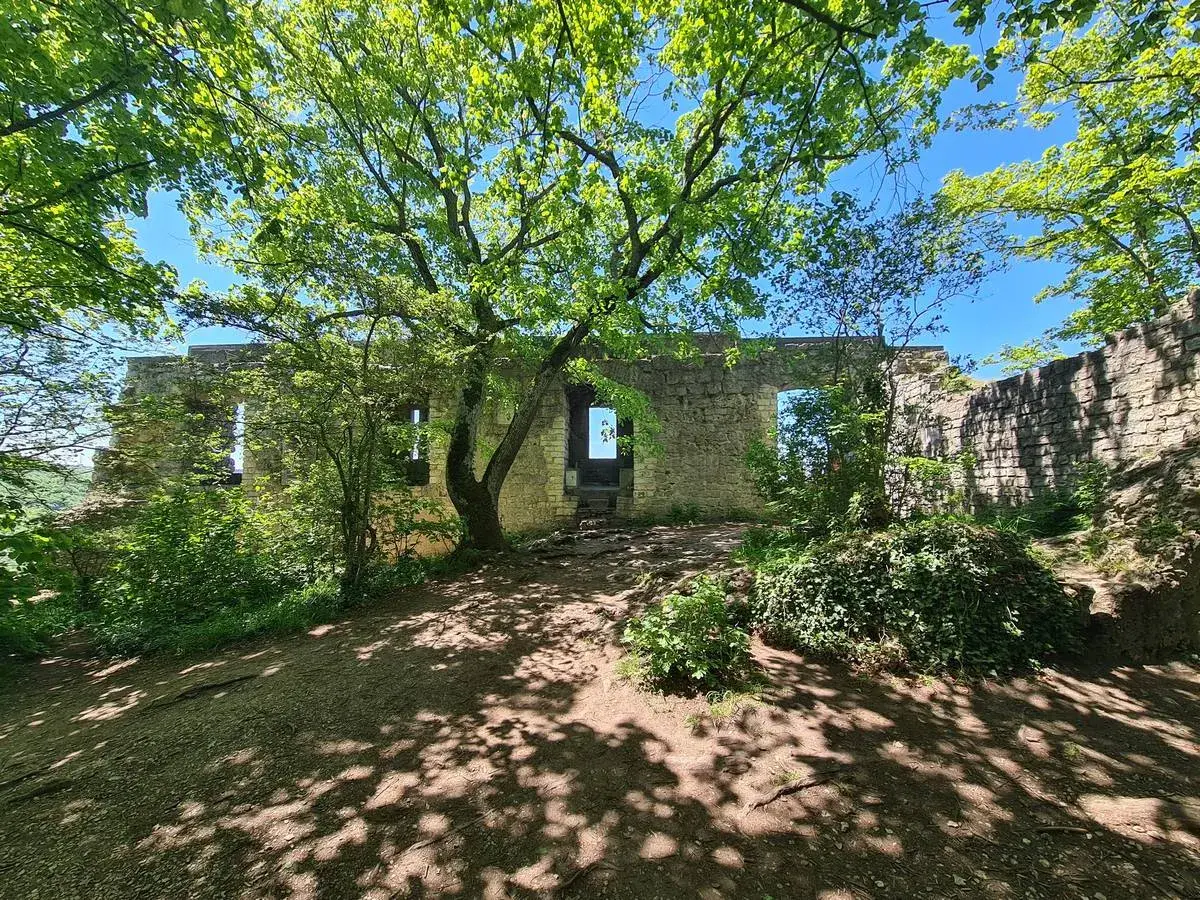 Ruinen des Rosenstein bei Heubach, umgeben von üppigem Grün und beschattet von einem Baum.