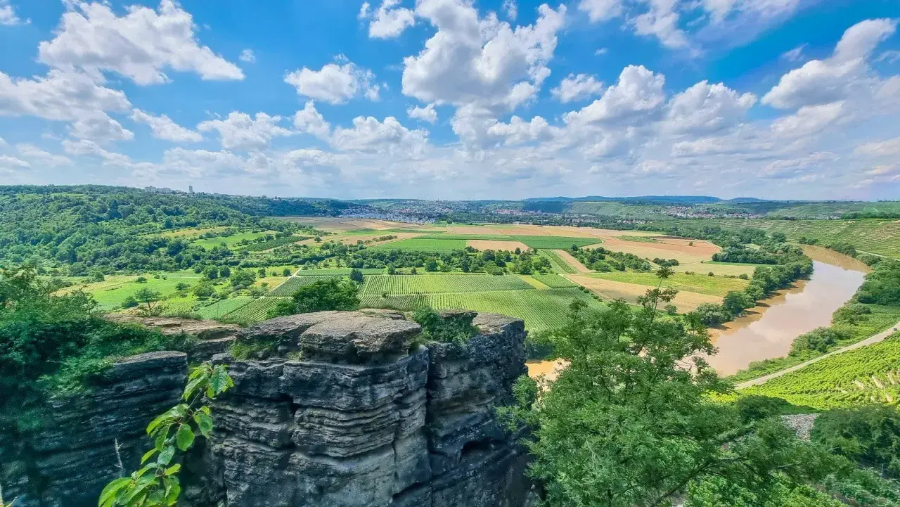 Blick vom felsengarten hessigheim über Weinberge und Felder zum Neckar. Blaue Himmel mit weißen Wolken.