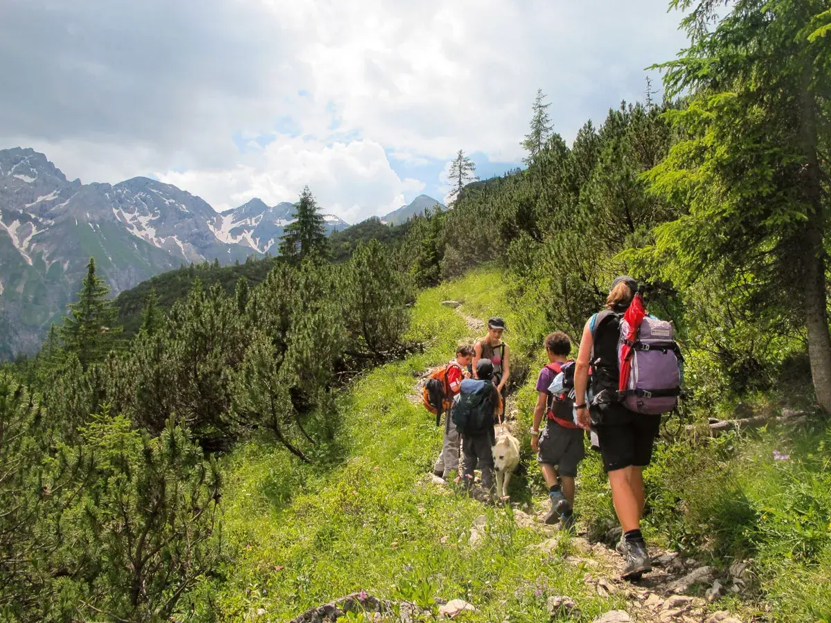 Familie genießt bergwandern mit kindern auf einem steinigen Pfad, umgeben von grünen Bäumen und schneebedeckten Bergen.