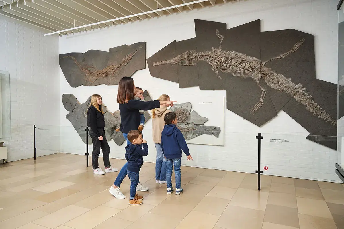 Familie bestaunt Fossilien im Holzmaden Dinopark. Ein riesiges Ichthyosaurier-Skelett hängt an der Wand.