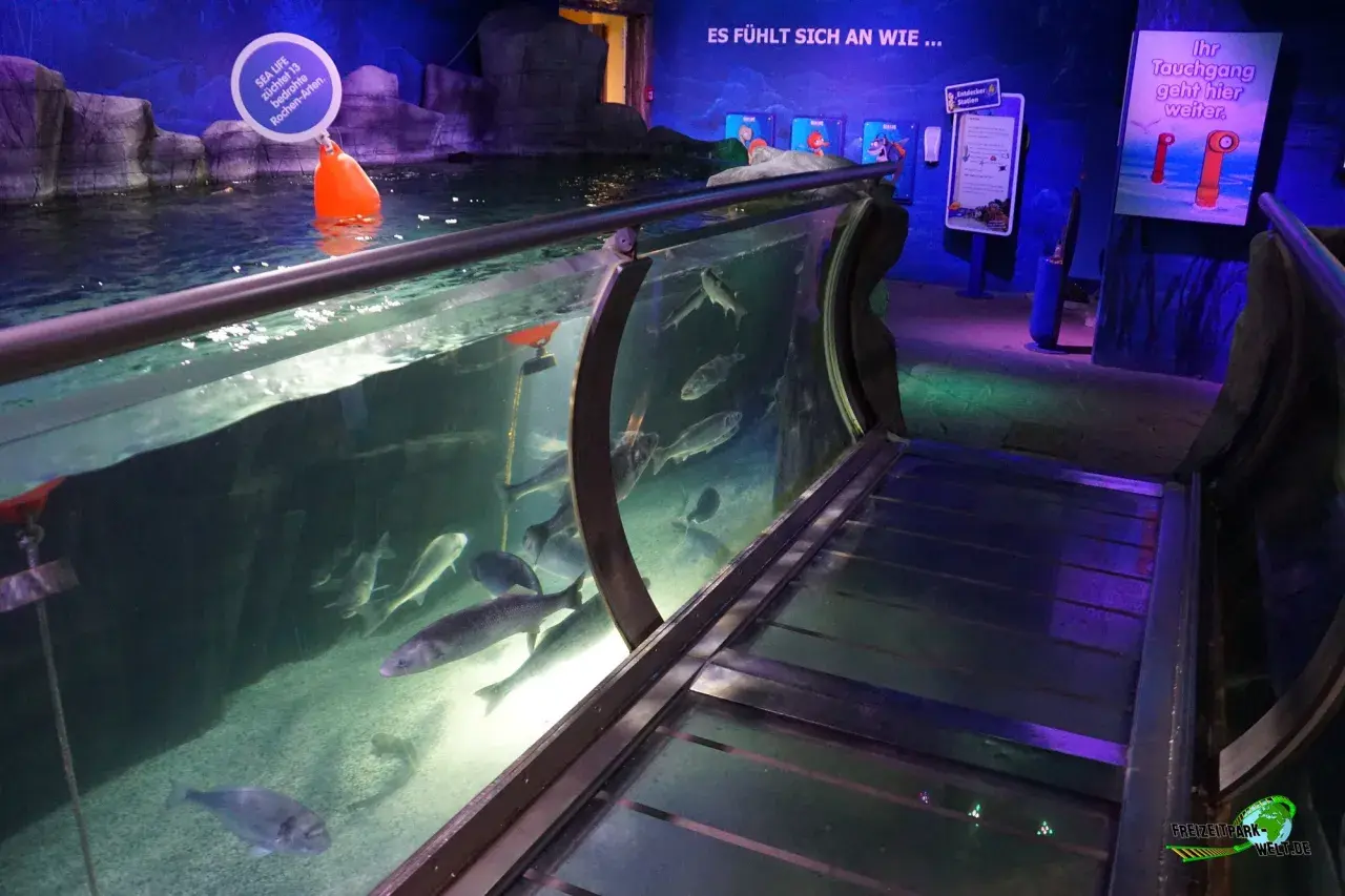 Fische schwimmen in einem Aquarium. Ein Schild weist auf den "Tauchgang" hin. Ein schöner Ausflug ins SEA LIFE.