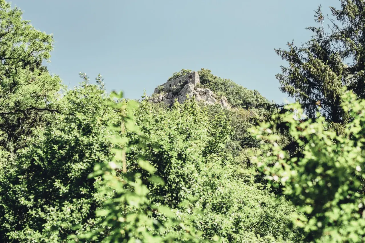 Ruine Rosenstein thront auf einem Felsen, umgeben von üppigem Grün und einem klaren Himmel.