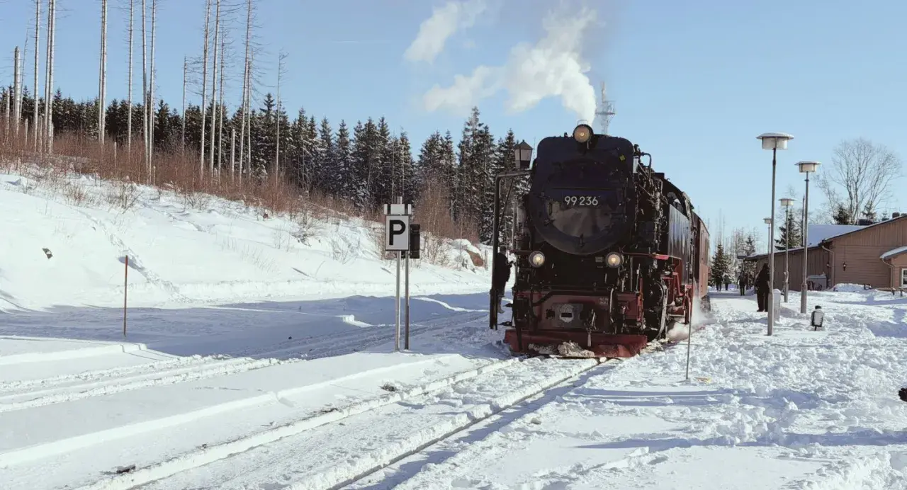 Dampflok 99 236 fährt durch verschneite Landschaft. Ein tolles Erlebnis für Wernigerode mit Kindern im Winter.