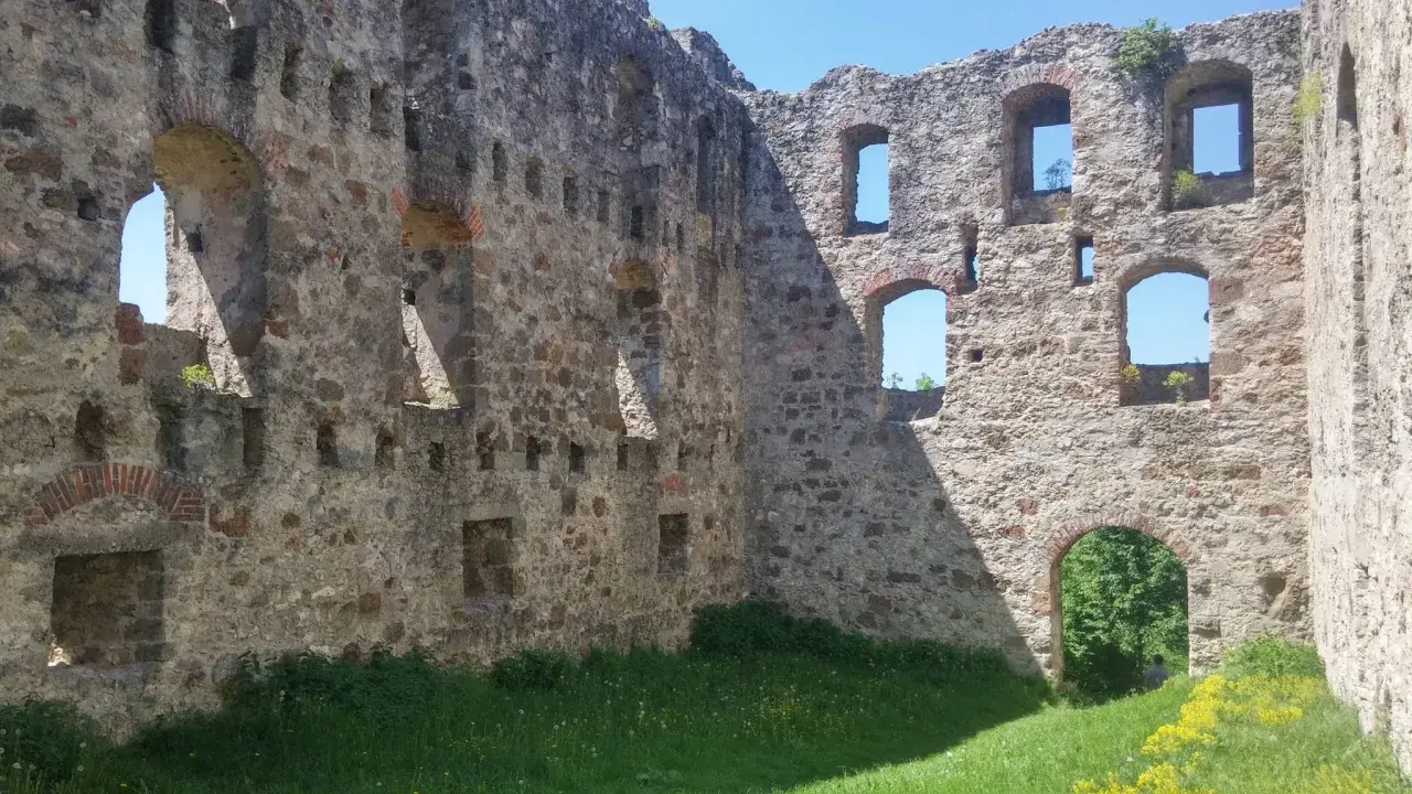 Die Burgruine Niederhaus mit ihren steinernen Mauern und leeren Fensterbögen, umgeben von grünem Gras und gelben Blumen.
