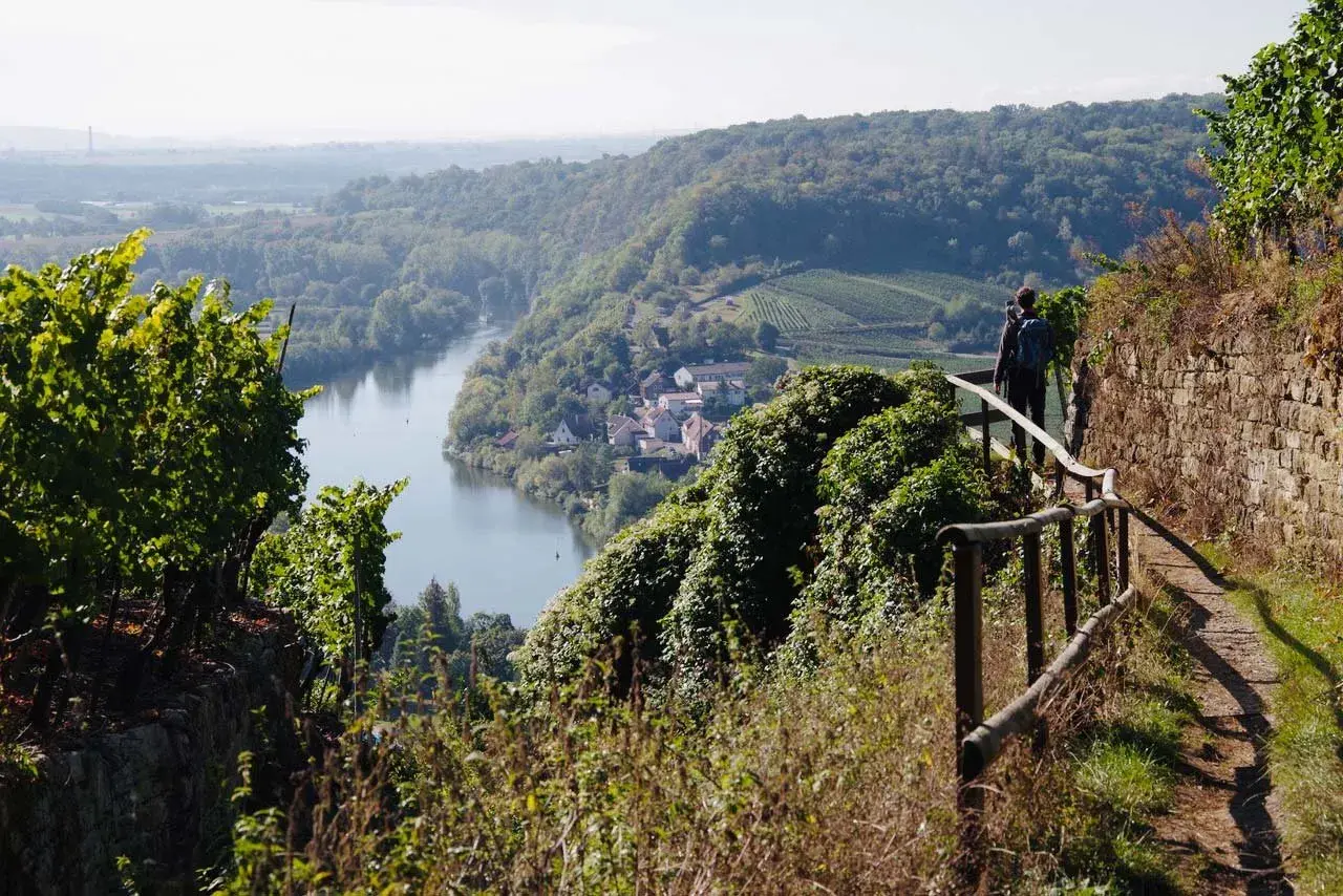 Wanderer auf einem Pfad mit Geländer, Blick auf ein Dorf am Fluss und Weinberge. Ein toller Aussichtspunkt Ludwigsburg.