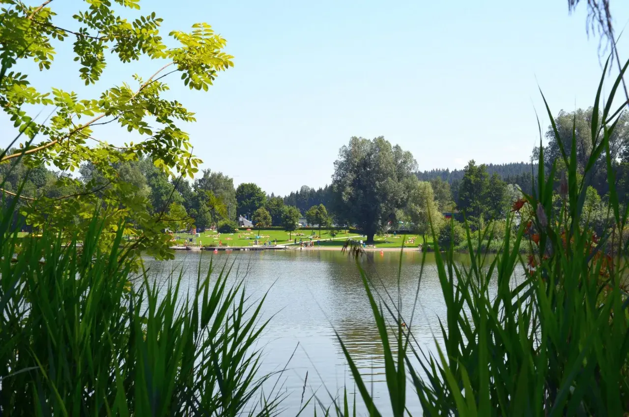 Grünes Schilf am Ufer eines Sees, im Hintergrund eine Liegewiese mit Badegästen und Bäumen. Perfekt für eine Auszeit beim Wandern in Leutkirch.