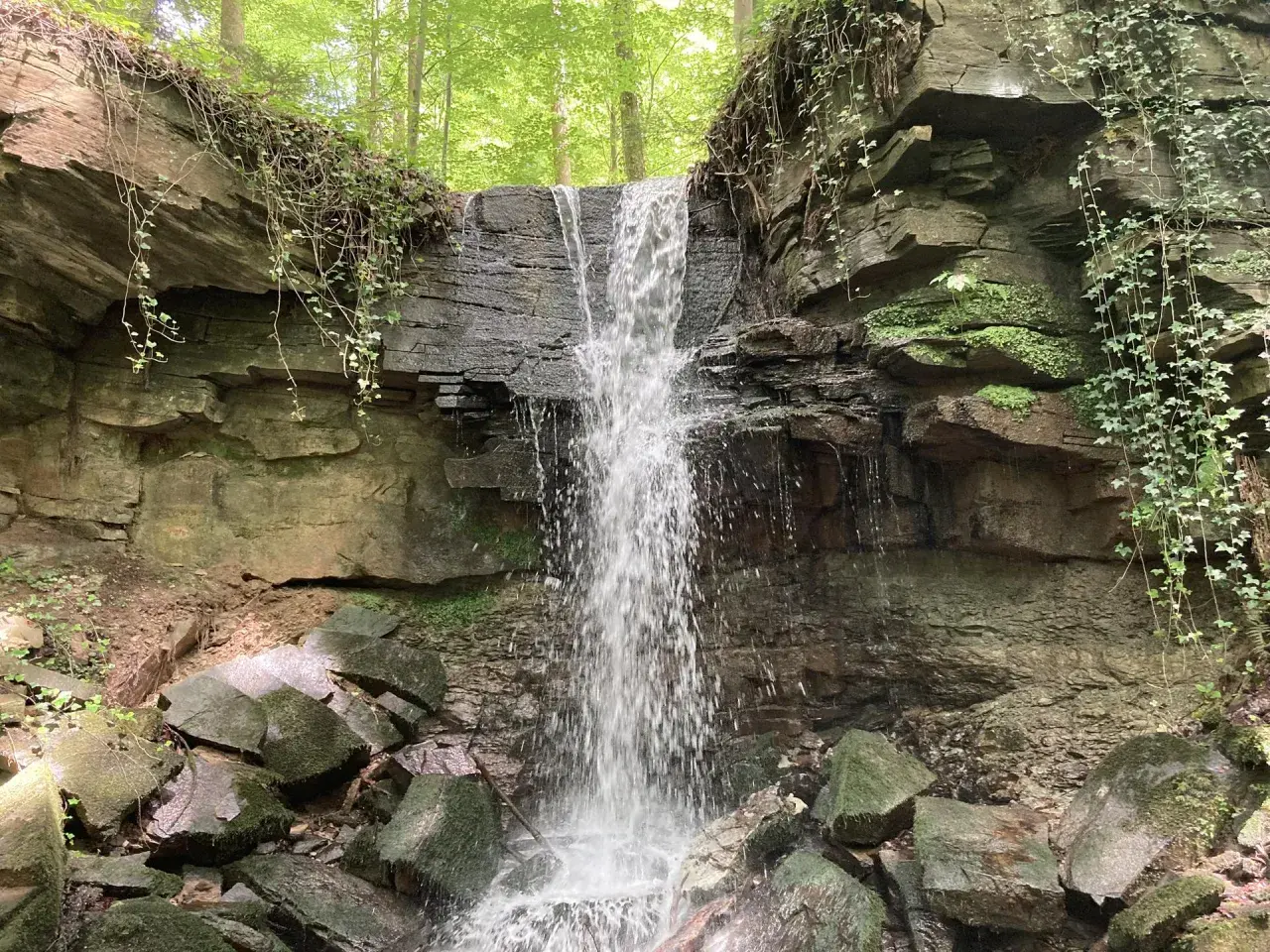 Ein kleiner Wasserfall stürzt über moosbewachsene Felsen in einem verwunschenen Wald. Ranken und grünes Laub umgeben die Szenerie.