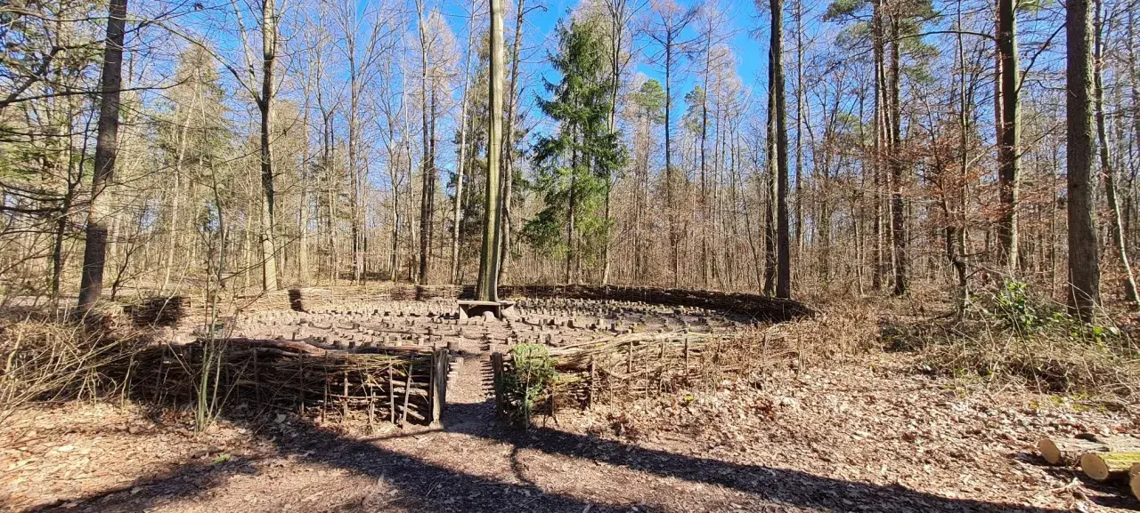 Ein kreisförmiges Kunstwerk aus Holz und Ästen im Wald, Teil des Walderlebnispfads Heilbronn.