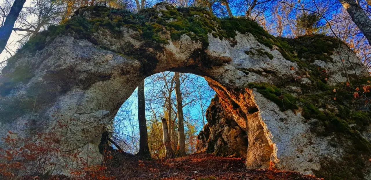 Das Heidentor bei Egesheim, ein Felsentor im Wald, mit Moos bewachsen und von Sonnenlicht durchflutet.