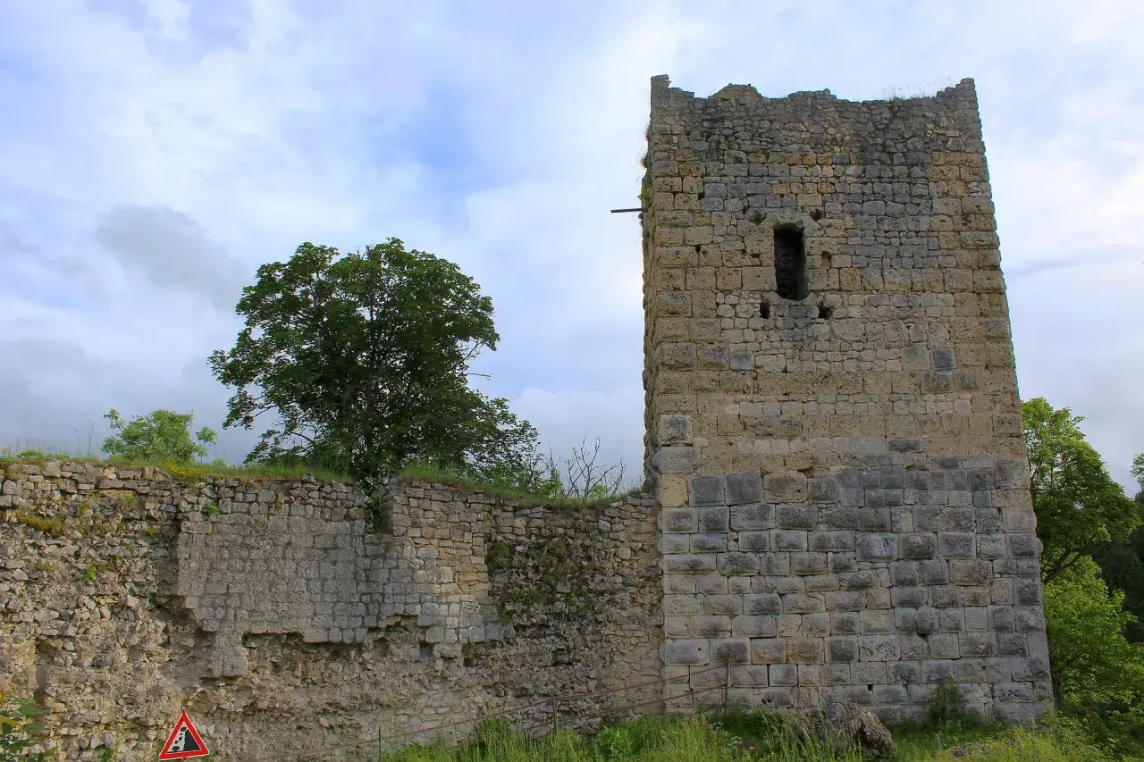 Die Ruine Kallenberg zeigt einen imposanten Turm und Mauerreste aus Stein, umgeben von Grün und einem bewölkten Himmel.