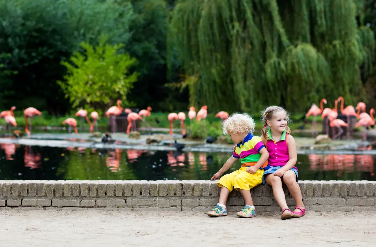 Zwei Kinder genießen einen Tagesausflug nach Sachsen-Anhalt mit Kindern und beobachten Flamingos am Wasser.