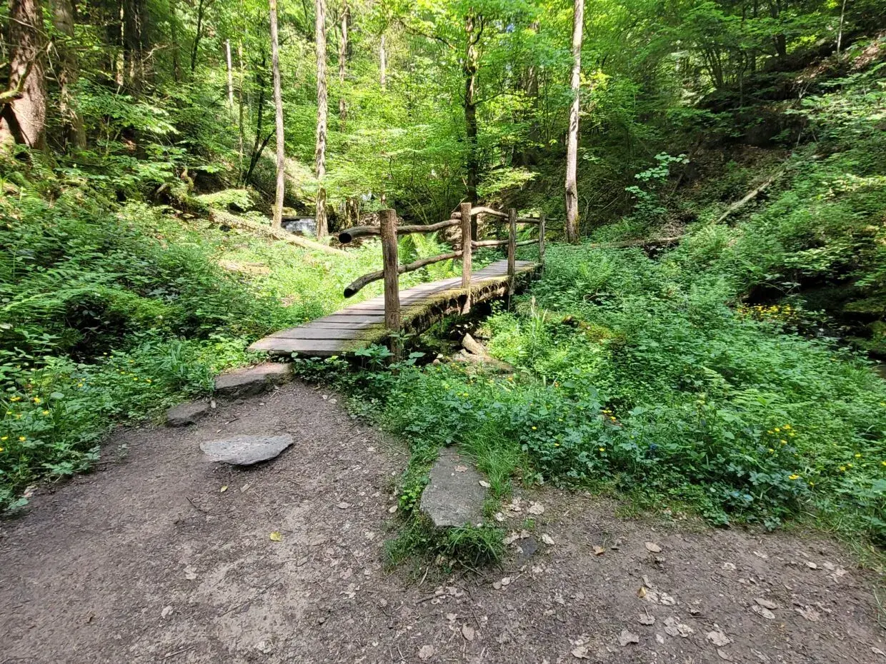 Holzbrücke über einen Bach im Wald, ein Pfad führt dorthin. Hier könnten die Feenspuren Welzheim beginnen.