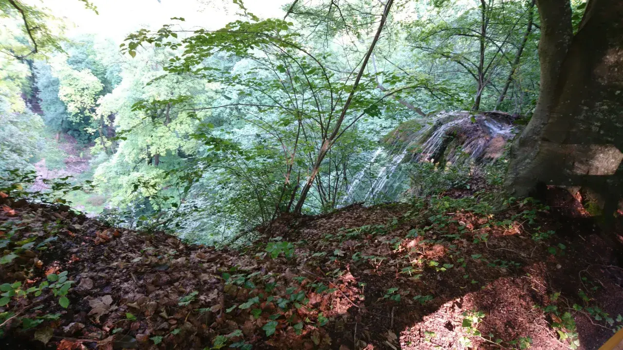 Ein Wasserfall stürzt in einem grünen Tal bei Reutlingen in die Tiefe. Ein schöner Ort zum Wandern.