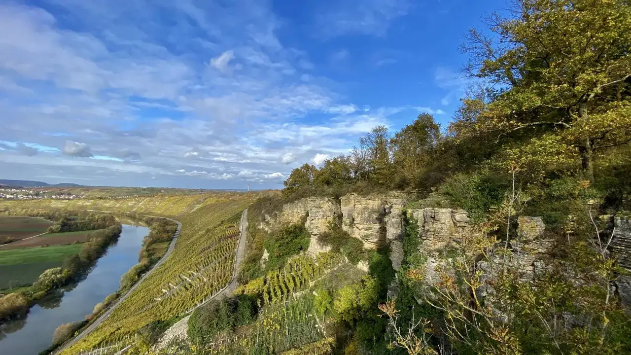 Blick vom Felsengarten Hessigheim auf Weinberge, Fluss und eine Stadt unter blauem Himmel mit Wolken.